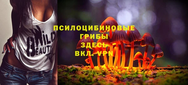 МДПВ Остров