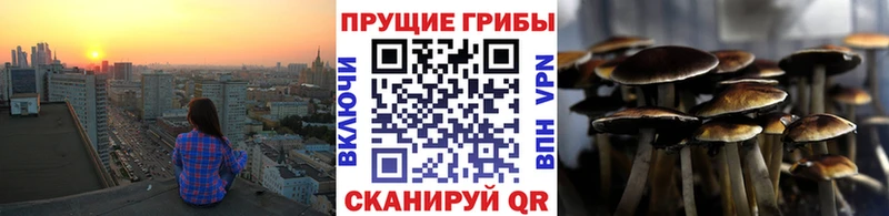 наркота  Семикаракорск  Галлюциногенные грибы ЛСД 